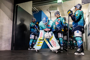 Historischer Moment für die Dresdner Eislöwen: Aufsteiger startet bei Rekordmeister Eisbären Berlin in die PENNY DEL