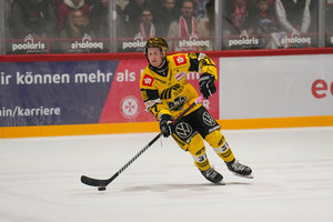 DEL2-Top-Scorer Max Newton spielt bis 2028 für die Krefeld Pinguine