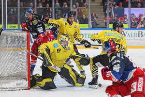 Selb feiert 4:0-Derbyerfolg gegen Bayreuth, Deggendorf siegt zweistellig, Bad Tölz mit acht Toren in Peiting