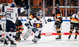 Köln siegt weiter, Dresden überrascht in Mannheim, Augsburg gewinnt irres 13-Tore-Spektakel am Playoff-Strich