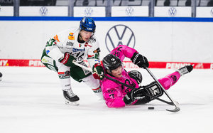 18-jähriger Stürmer Sebastian Zwickl bleibt ein Augsburger Panther