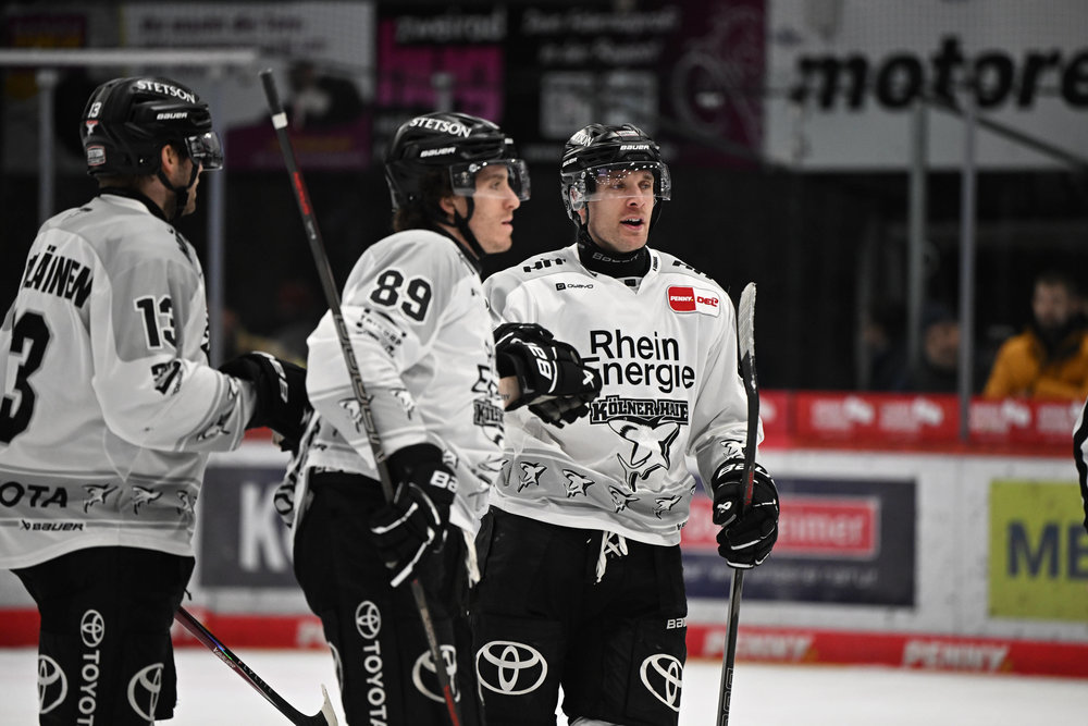Kölner Haie vor letztem Schritt zum DEL-Rekord, Schwenninger Wild Wings zu Gast beim Angstgegner