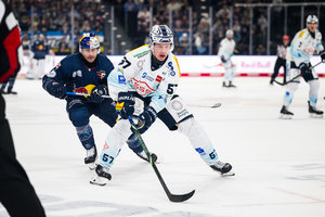 Dresdens Verteidiger Emil Johansson für zwei Spiele gesperrt