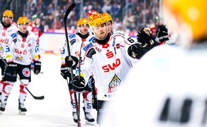 Transfergerücht: Umworbener Christian Wejse stürmt weiter für die Fischtown Pinguins