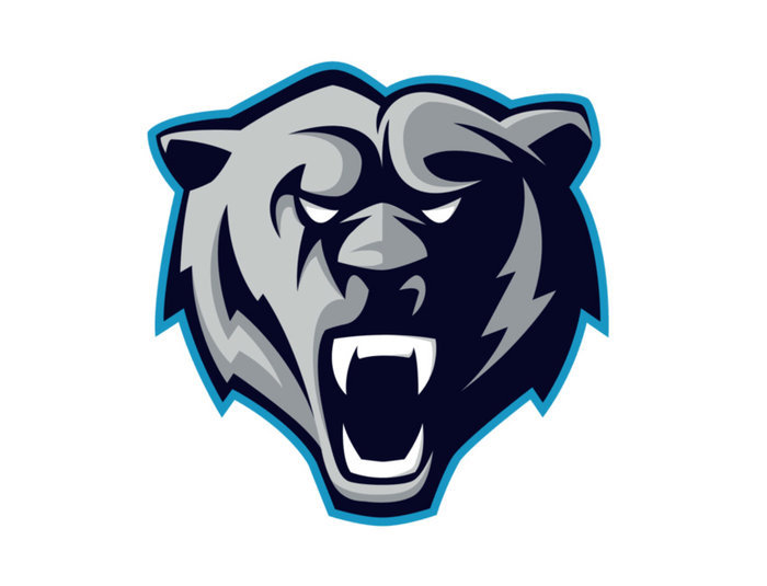 Abgebrochenes Skandalspiel aus der CEHL wird nach Einigung für Neuwied gewertet