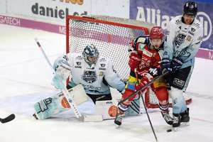 Deggendorf und Memmingen behaupten sich, Riessersee siegt im Oberlandderby, Overtime-Erfolg für Selb