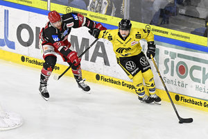 Landshut will in Krefeld Auswärtsschwäche ablegen, Ravensburg „verteidigt konsequenter“