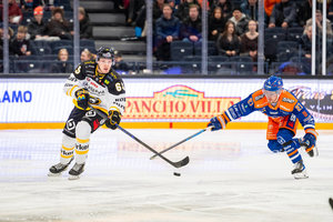 Kölner Haie bestätigen Verpflichtung von Verteidiger Nutivaara – Wild Wings holen Goalie Chris Gibson