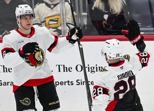 Stützles Ottawa Senators und Peterkas Utah Mammoth sammeln wichtige Punkte