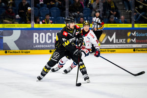 Bietigheims Bastian Eckl für ein Spiel gesperrt, Krefelds Zack Dybowski für zwei