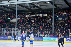 Insolvenzverwaltung der Heilbronner Falken auf Investorensuche – Erste Spielerabgänge sicher
