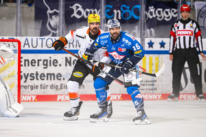 Farce um Suess: Nach Abgang in Dresden wechselt der Stürmer nach Krefeld
