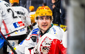 Transfergerücht: Fabian Herrmann stürmt 2026/27 für die Düsseldorfer EG