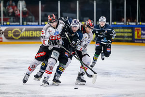 Hamm erzwingt Spiel 5 in Overtime, Memmingen und Duisburg im Viertelfinale