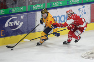 Playoff-Performer Lane Scheidl verlängert bei den Lausitzer Füchsen – Linden & Co.: DEG vermeldet 14 Abgänge