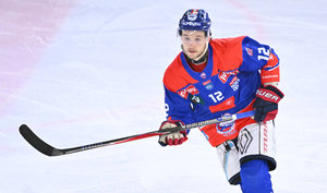 Crimmitschau holt Corbeil und Vieregge, Freiburg verpflichtet Spencer Berry