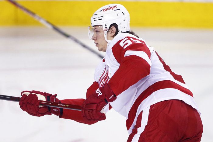 NHL-Duell zur europäischen Primetime: Seider und Detroit siegen in Nashville