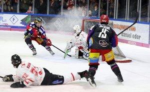 Selb setzt bei den Scorpions ein Ausrufezeichen, Heimsiege für Deggendorf, Memmingen und Tilburg