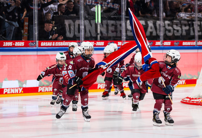 5-Sterne-Programm: Zehn Clubs aus DEL, DEL2 und Oberliga mit Bestwerten