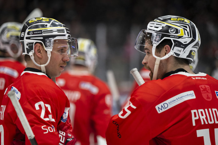 Erk, Ribarik, Volek & Co.: Bad Nauheim bestätigt sieben Spieler für 2026/27 – Kreutzer verlässt Crimmitschau