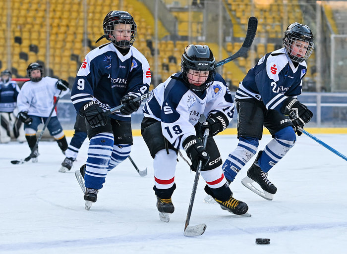 5-Sterne-Programm: Siebenmal Top-Bewertung, Rückkehrer und Aufsteiger in zweitbeste Kategorie