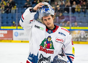 Freiburg verabschiedet sieben Spieler, teilweise stehen deren neue Clubs schon fest