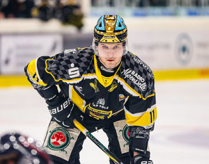 Spieler des Jahres Piipponen bleibt nun bis 2029 bei den Tölzer Löwen