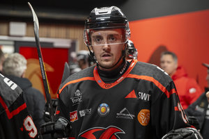 Saale Bulls binden Domogalla, Palka und Suchomer – Schmid, Wilenius, Biezais & Co. gehen