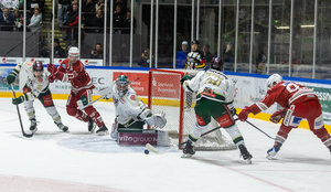 Kassel und Regensburg ziehen ins Halbfinale ein, Fonstad schießt Bietigheim zu Spiel 7 – Kaufbeuren am Abgrund