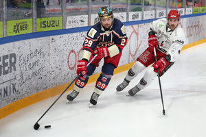 Auswärtssieg in Spiel 6: Hannover Scorpions ziehen in Selb ins Halbfinale ein