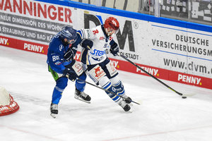 Straubing ringt Wild Wings nieder, Meister Berlin erobert Platz sechs, Busdeker mit Gala-Abend für Augsburg