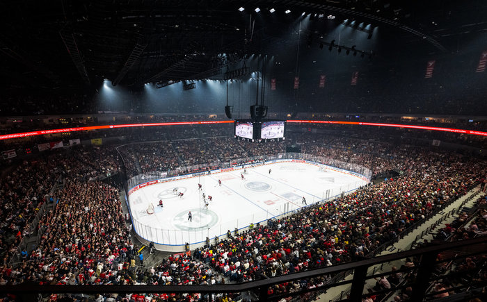 Weltweit auf Platz 13 und erstmals Schnitt von über 18.000: Kölner Haie mit nächstem Zuschauerrekord