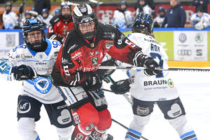 Titelverteidiger ECDC Memmingen trifft im DFEL-Finale auf die Eisbären Berlin – Auftakt am 21. März