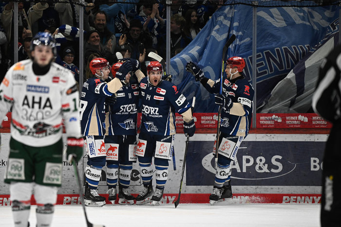 Straubing Tigers knacken den Clubrekord, Schwenninger Wild Wings mit drittem Playoff-Einzug in Folge