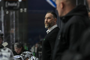 Strafbefehl gegen Steelers-Coach Alexander Dück erlassen – daraufhin folgt die Freistellung