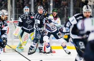 NHL-Veteran Justin Braun nach Tölz – Top-Stürmer Czarnik und Trivino verlängern in Ravensburg beziehungsweise Regensburg