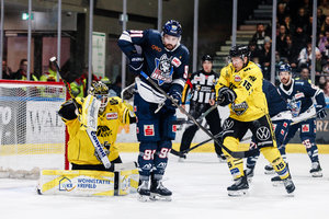 Krefeld voll im Flow und selbst gegen Kassel klarer Favorit – Vandane: „Unser Momentum trägt uns“