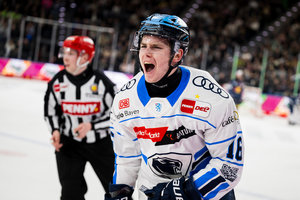 Transfergerücht: Johannes Krauß mit Zwei-Jahres-Vertrag nach Iserlohn