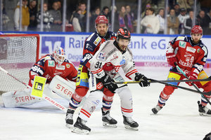 Südgipfel um den DEL2-Aufstieg – Deggendorf und Memmingen starten am Sonntag ins Oberliga-Finale