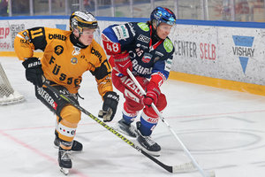 Abwehrstützen: Schmid bleibt beim SCR, Mapes geht ins zehnte Jahr in Heilbronn, Andzs weiter in Füssen