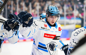 Augsburger Panther bestätigen Verpflichtung von Nationalstürmer Philipp Krauß