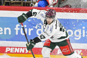 Sarault-Rückkehr nach Bad Nauheim bestätigt, Schneider verlässt Eispiraten, Kaufbeuren hält Talent Nikitins