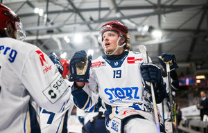 Iserlohn bestätigt Krauß-Transfer, Hänelt und Hübner bleiben Wild Wings, Bremerhaven hält Smith