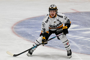 Neudecker wechselt nach Herne, McNeely zu den Indians, Walters verlängert in Herford