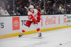 Carolina und Minnesota machen Playoffs fix, wichtige Erfolge für Stützles Senators und Seiders Red Wings