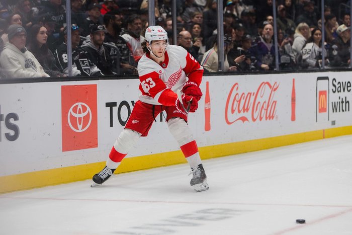 Carolina und Minnesota machen Playoffs fix, wichtige Erfolge für Stützles Senators und Seiders Red Wings