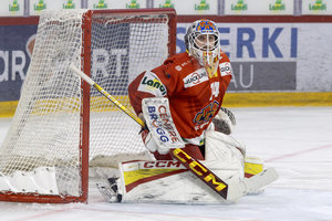 Transfergerüchte um Luis Janett nach Nürnberg, Straubings Scott nach Iserlohn