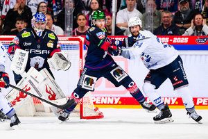 Dämpfer oder Wende: Adler Mannheim empfangen Eisbären Berlin zum fünften Finalspiel – Was die Statistik lehrt