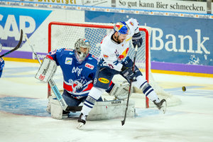 Brooks Macek unterzeichnet mehrjährigen Vertrag bei Vizemeister Adler Mannheim